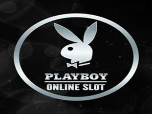 Playboy thumbnail